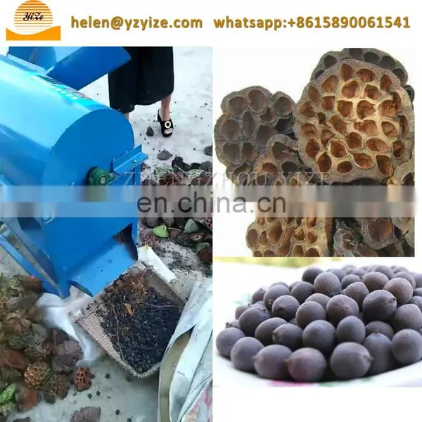 Automatic Lotus Seed Screening Grading Processing Line Lotus Seed Nut Separator Peeler Machine photo-5