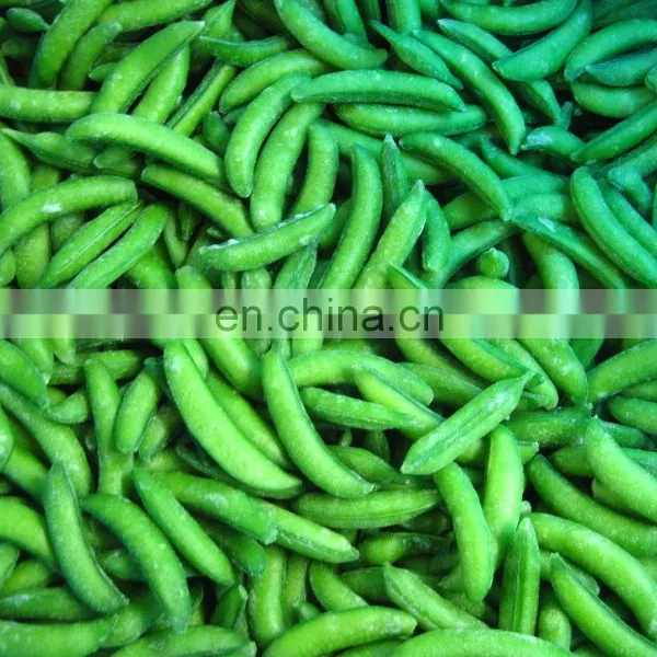 ISO and BRC Approved Factory of IQF Frozen Sweet Sugar Snap Pea photo-4