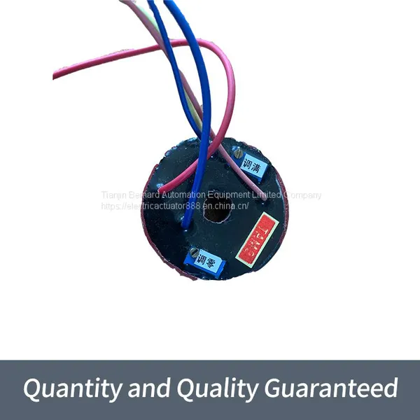 Bernard Electric Actuator Accessories TAM2 Solid State Relay Potentiometer photo-2