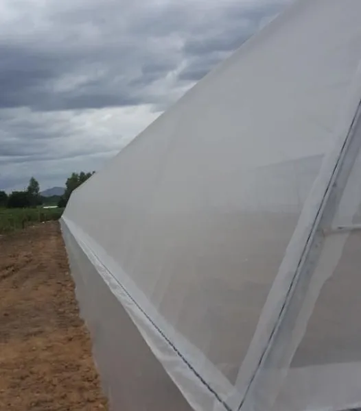 Fabrik liefert hochwertiges, preiswertes transparentes weißes Insektenschutznetz für Gewächshäuser und Landwirtschaft photo-5