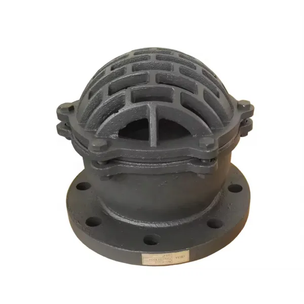 BS/DIN DN100 PN16 Cast Iron/Ductile Iron GG25 GGG50 Foot Valve Flange/Thread Foot Valve Factory photo-2