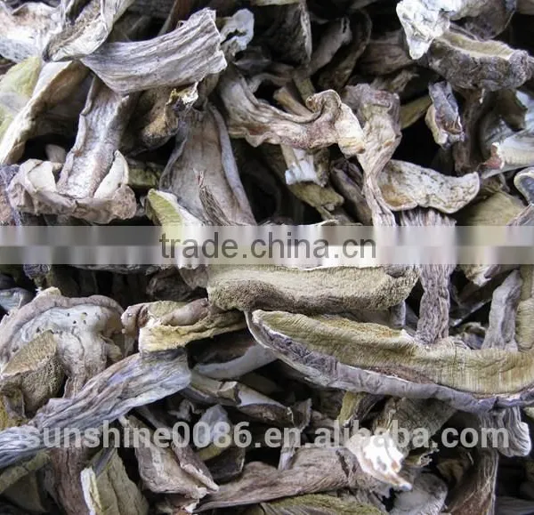 Market Prices For Boletus photo-3