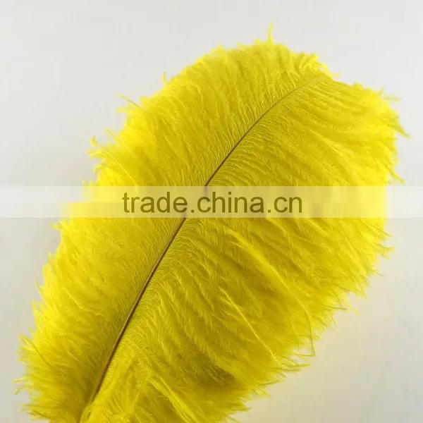 New Style Natural 10-12 Inch Ostrich Plumes for Party Decorations photo-5