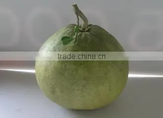 Pomelo