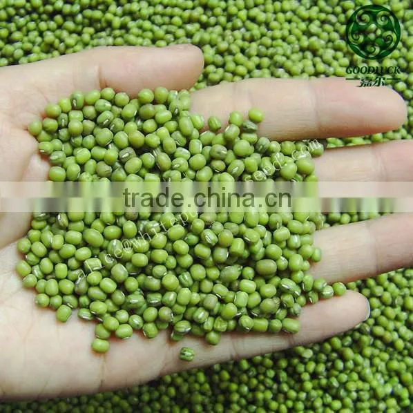 New Crop Peeled Split Green Mung Beans photo-3