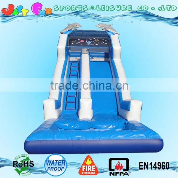 Commercial Grade Dolphin Water Slide With Pool, Big Water Slides for Sale photo-2