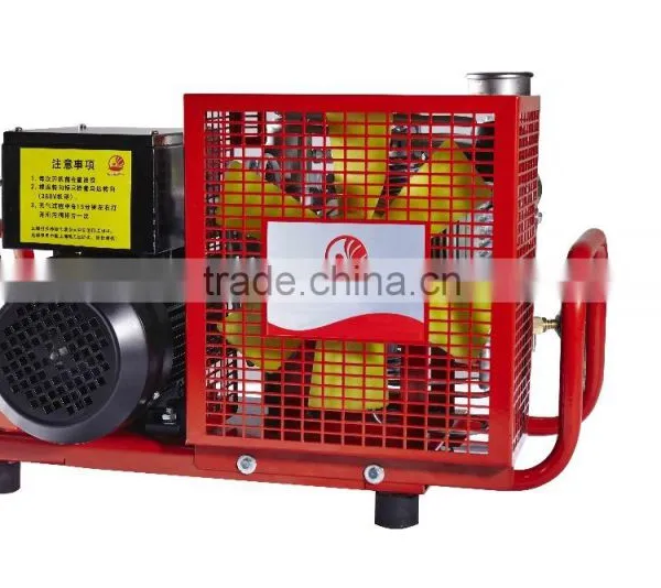 Electric/Petrol Engine Drives Air Compressor For SCBA/ SCUBA