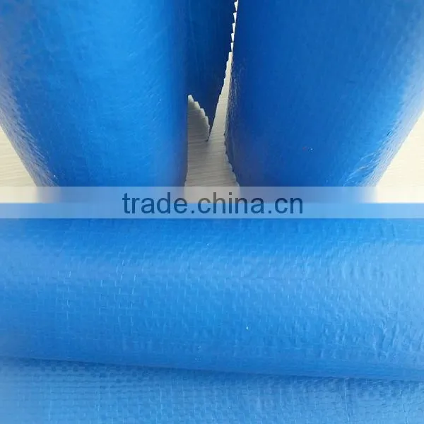 CHINA TEAR RESISTANT WATERPROOF TARPAULIN TARPS LENO WOVEN FABRIC HIGH TENSIBLE MAKE-TO-ORDER STRIPED HEM PP ROPE RAINPROOF