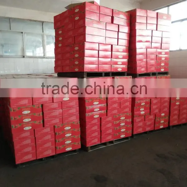 China Hot Sell Traditional Food,tomato Sauce photo-6