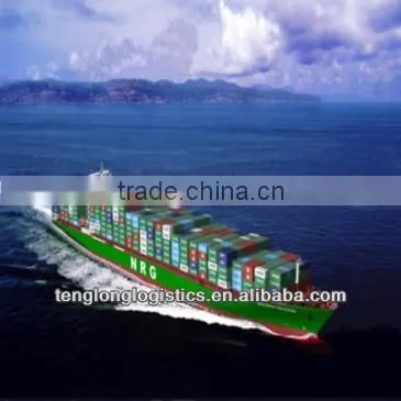 Best Shipping Agent Offer Seafreight Airfreight and CIQ Agent to Port Said of Egypt From China Shenzhen Guangzhou Shanghai