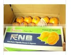 Investment Opportunity in Kino Orange Mandarin Business ( Naqshbandi Enterprises Pakistan )