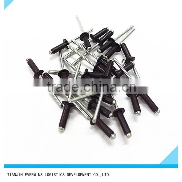 Black Color Blind Rivet photo-3