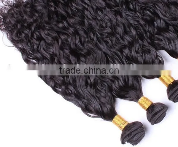 Brazilian Human Hair Sew in Weave Different Types of Curly Weave Hair Colored Brazilian Hair Weave photo-2