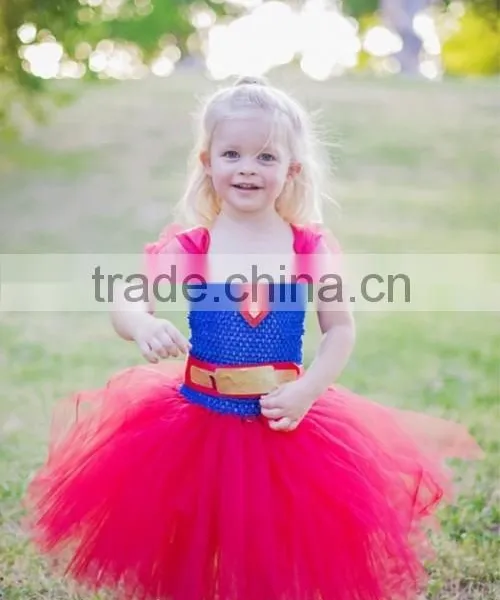 Fashion High Quality Superbaby Gauze Dress Tutu Skirt Wholesale New Design Chiffon Dress 2015 photo-2