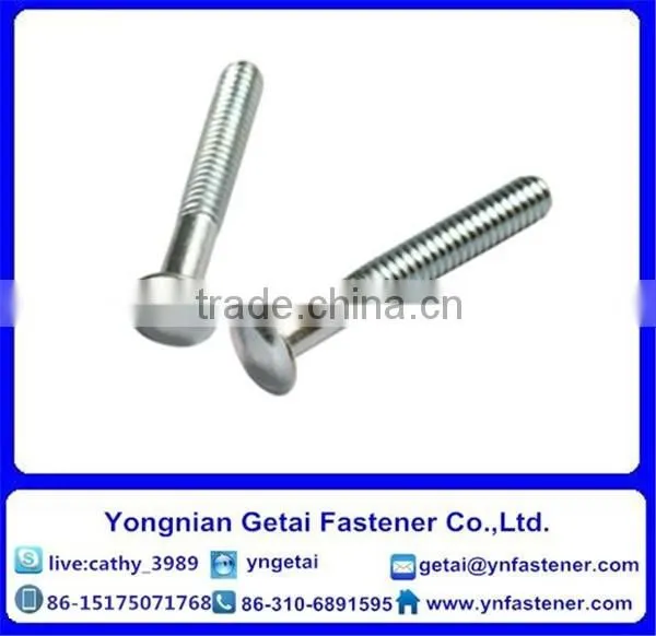 Stainless Steel 304 Carriage Bolt Din603 photo-6