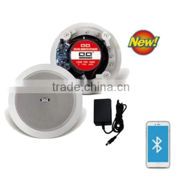 Chinese 2.0 Active Speaker Bluetooth Ceiling Speaker