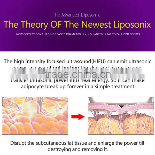 Portable High Frequency Face Machine The Hot Selling Hifu Facial Treatment Machines Ultrasound Body Shaping Machine With Lowest Price Skin Tightening photo-4