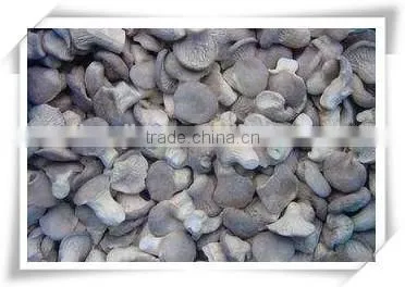 Wholesale Frozen Oyster Mushroom photo-2