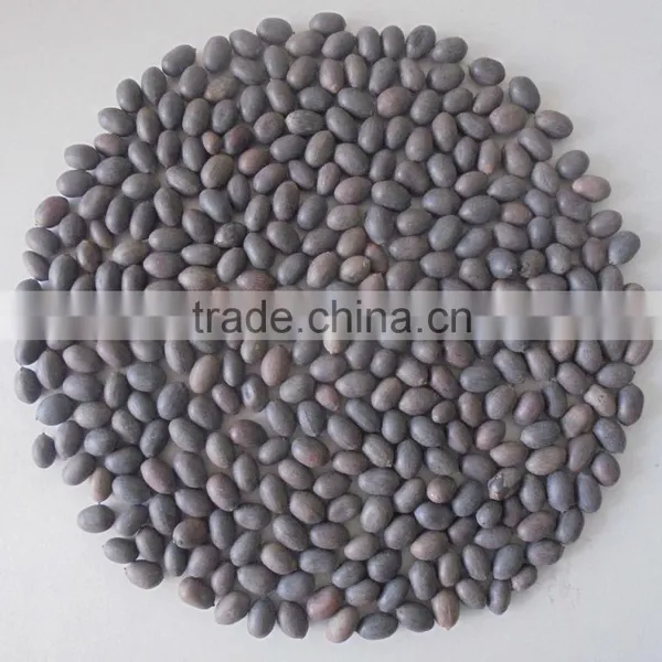 VIETNAM LOTUS SEED, HIGH QUALITY AT RIGHT PRICE photo-5