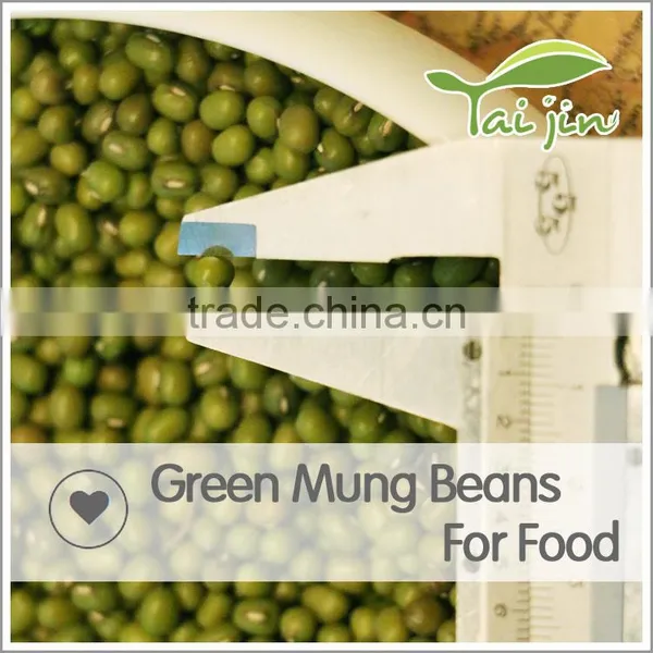 Organic Chinese MungBeans,Mung Bean Prices,Fresh Green Beans Competitive Price photo-2