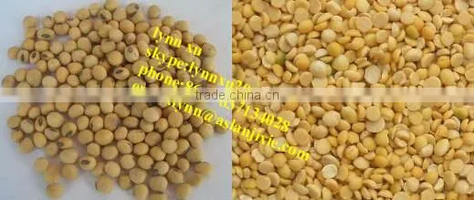 Soybean Peeling Machine / Soybean Skin Removing Machine photo-4