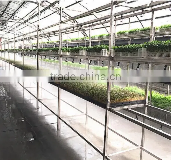 Neweek Combine Heating Tube Hydroponic Wheat Corn Alfalfa Sprouting Machine photo-5