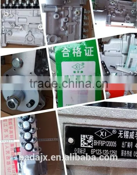 WUXI WEIFU Fuel Injection Pump BHF6P120005 6P123-120-1250 photo-2