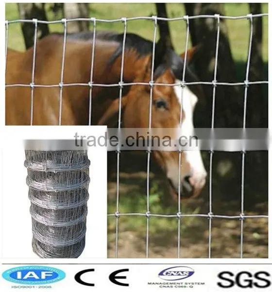 Hot Dipped Galvanized Grassland Fence(SGS Factory) photo-2