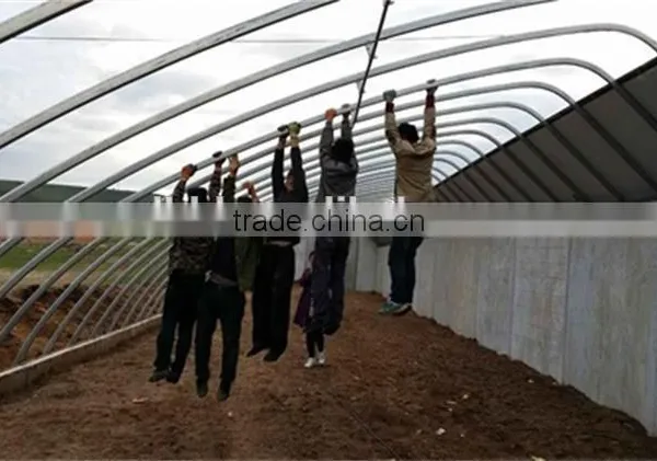 New Type Of Tunnel Greenhouse For Vegetables photo-3