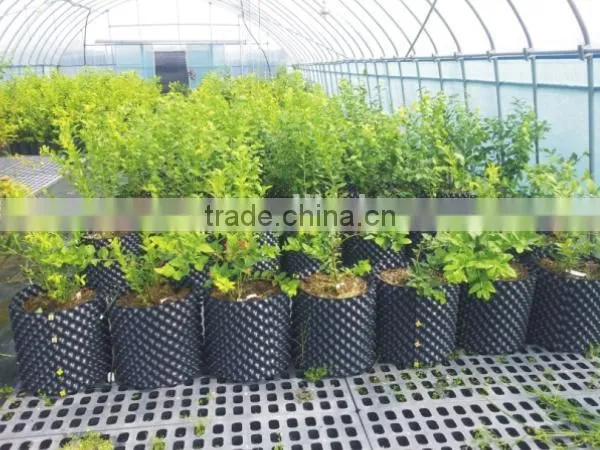 Plastic Root Control Container/pot for Garden Tools photo-3