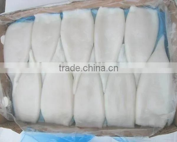 Frozen Squid Tube