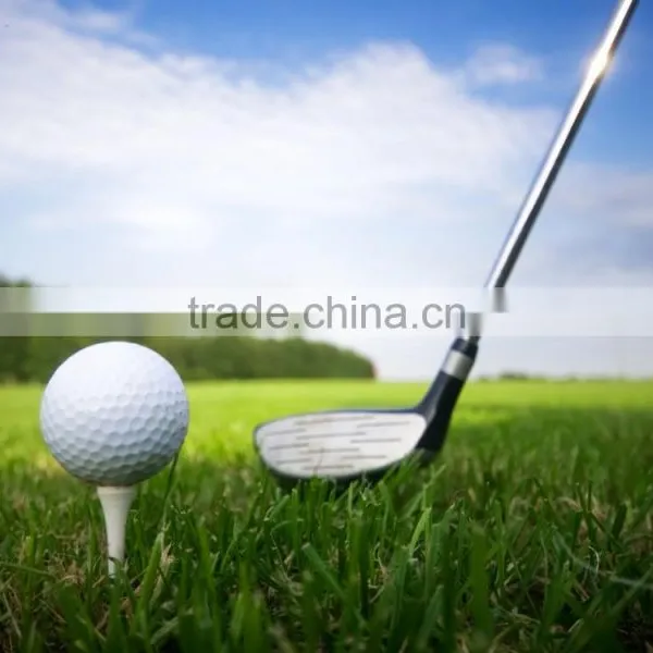 Golf Accessories Cheapest and Durable Golf Ball photo-3
