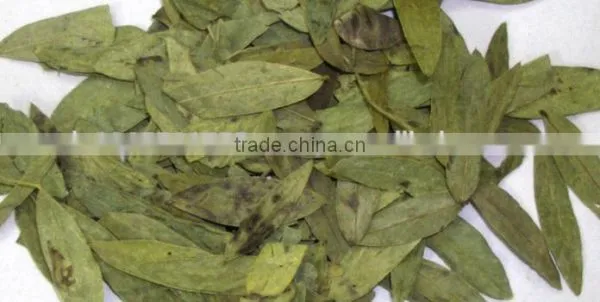 CALCIUM SENNOSIDES EXTRACT photo-4