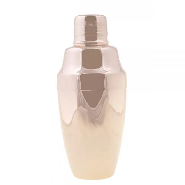Bar Accessories 750ml Stainless Steel Cocktail Shaker Drinking Party