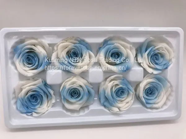 Handmade Immortal Flowers Preserved Flower Rose, Never Withered Roses photo-3