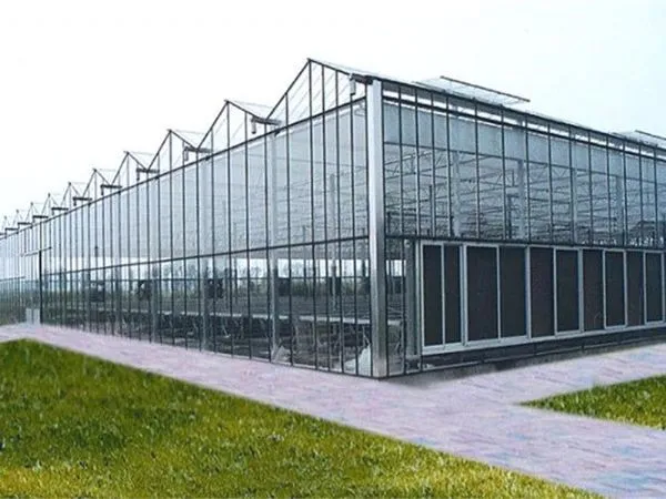 Glass Greenhouse 9.6m/10.8m Multispan Glass Greenhouse photo-5
