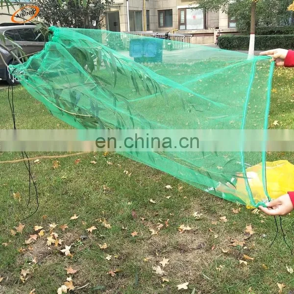 New Product Plastic Anti Insect Fruit Net Protection Bag, Date Palm Mesh Bag 80*100cm,Dragon Protect Cover Bag photo-3