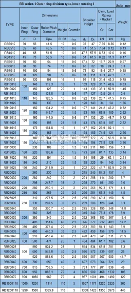 RB60040 Cylindrical Cross Roller Bearing photo-2