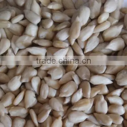 Sunflower Kernel photo-3