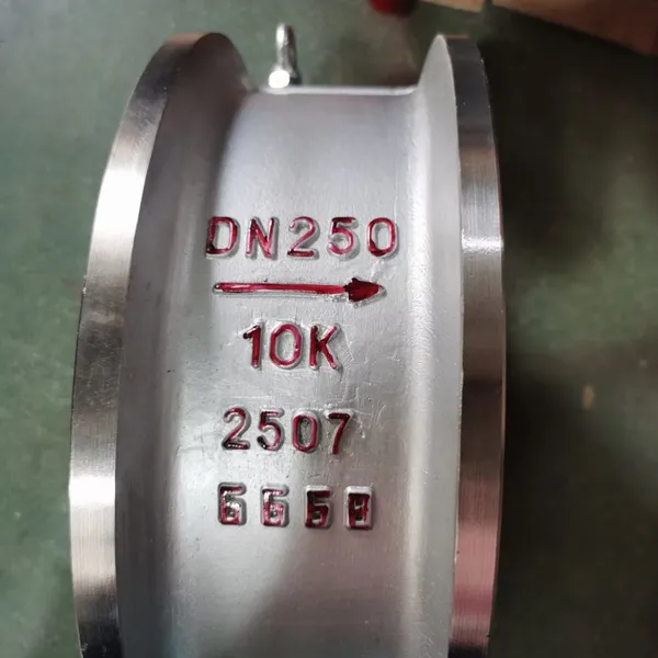 Dual-phase Steel Non-return Valve for Scubber photo-2