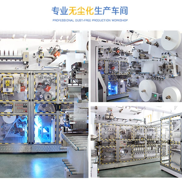Quanzhou Coach Hygiene Products CO.,LTD company overview - view 4
