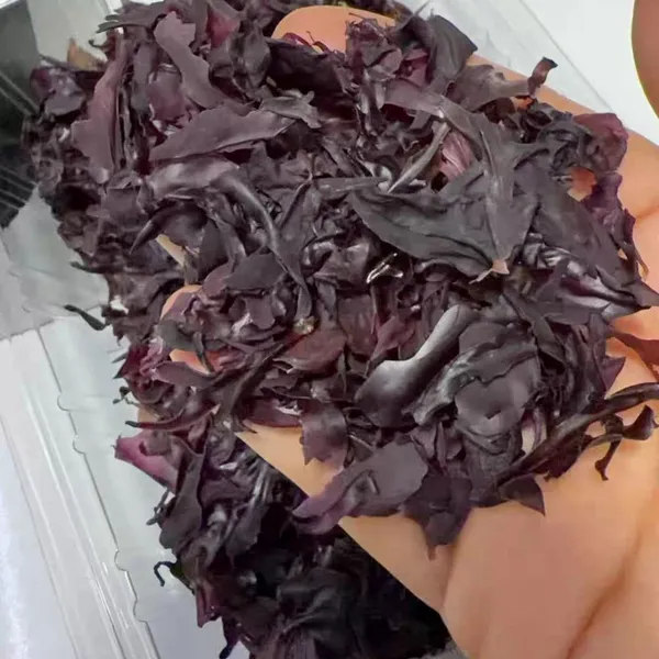 Premium Quality Dulse Seaweed Red Dulse Palmaria Palmata Flakes and Powder for Culinary Use and Food Supplement - Natural Iodine and Iron Source photo-3