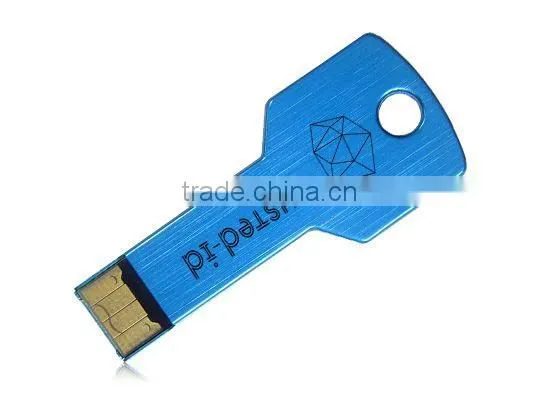 Custom Free Laser Printing Usb Key Pendrives 512MB 1GB photo-2
