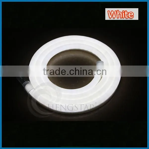5M 300LEDs 24V 12V LED Neon Flex Digital Programmable Led Neon Flex Light photo-5