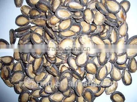 MELON SEED KERNELS,MELON SEEDS photo-4