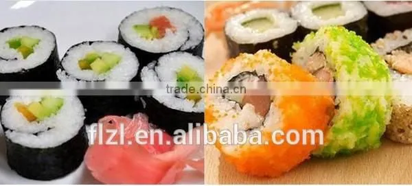 Automatic Magic Plastic Sushi Maker/Perfect Roll-Sushi/Sushi Maker photo-4