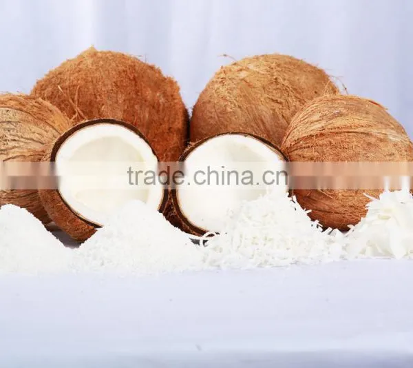 DESICCATED COCONUT