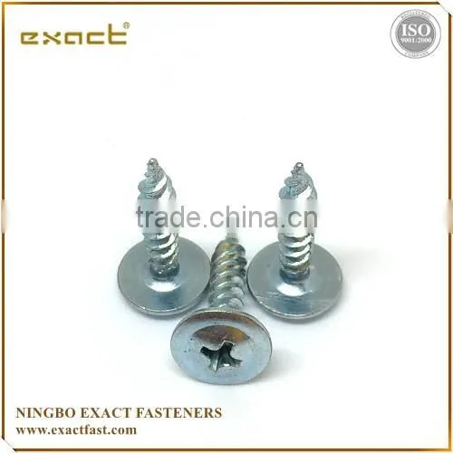 Self Tapping Screw Pan Head Phillips DIN7981 China Manufacturer photo-6