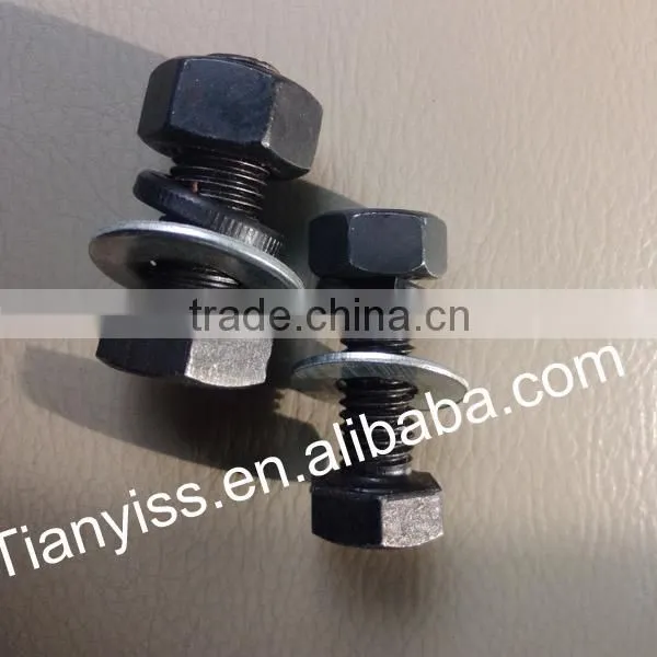 Custom ss High Strength Bolt for Sale