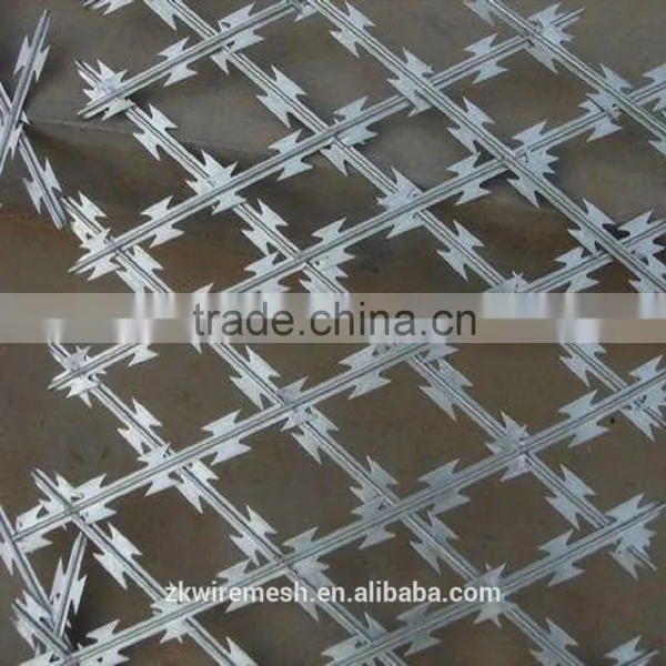 2015 Low Price High Quality Military Razor Wire/Concertina Wire/Razor Barbed Wire photo-5